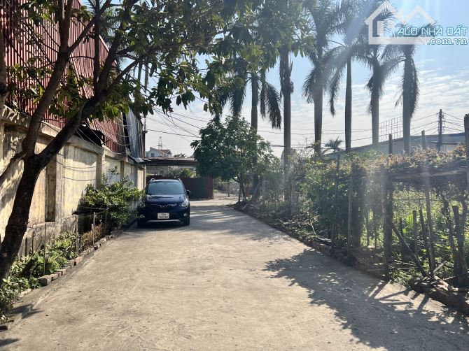Bán đất Cái Tắt, An Dương 50m2 đường 5m chỉ 1,7 tỷ. - 1