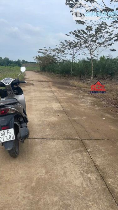 D048 Cần bán 4.7 sào đất Hưng Thịnh- Trảng Bom giá 6ty Tl Diện tích tổng 4.769m2 - 1