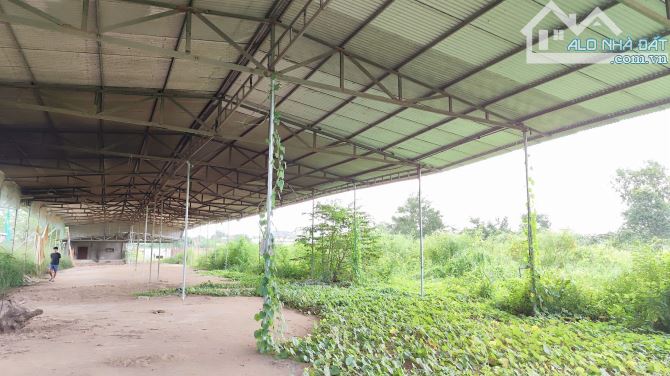 Cho thuê đất và xưởng tạm 9000m2 - Quảng Tiến - Trảng Bom - ĐN. Chỉ 25tr/tháng - 1