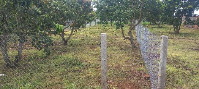 bán 394m2 đất xã tân hội đức trọng lâm đồng 1 tỷ 250 truệu có 100m2 đất thổ cư - 1