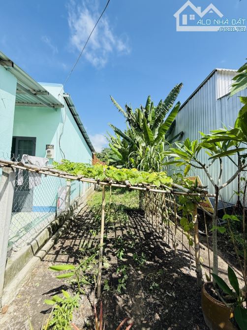 BÁN ĐẤT  - DT: 118m² (5 x 24m) – ĐƯỜNG NHỰA 6M - 1