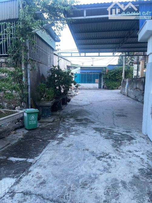 🌟 Bán đất chính chủ tại Lại Xuân – Lô đất rộng 116m², mặt tiền 5m cực thoáng. 🏡 Khu dân