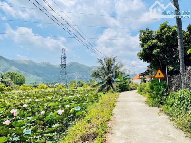 Bán Lô Đất Diên An - Cách Võ Nguyên Giáp chỉ 100mét - giá rẻ chỉ 1tỷ100tr - 1