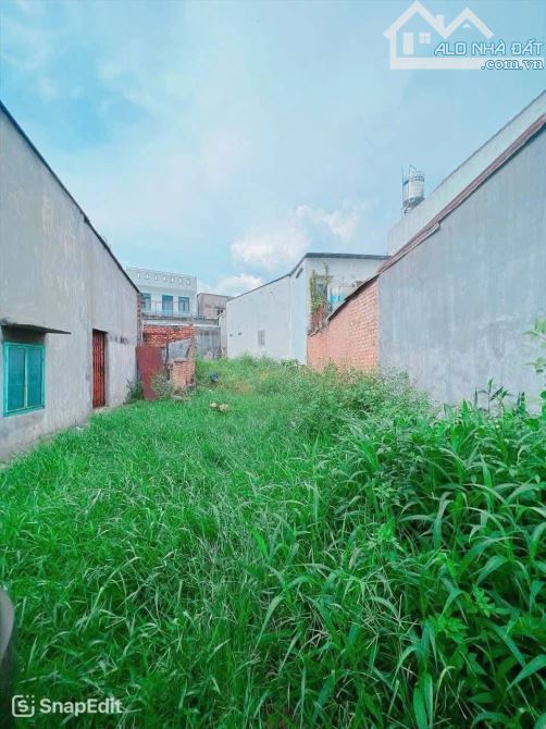 D081 💥 Bán lô đất biệt thự mini 235m2  full thổ cư Ngay Nhà Thờ Bùi Thái chợ Tam Hoà ( Ta - 1