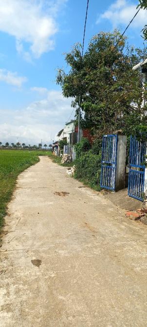 💯Cần bán lô đất dt 86m2 thôn chánh định,cát chánh,phù cát,Bình Định - 1