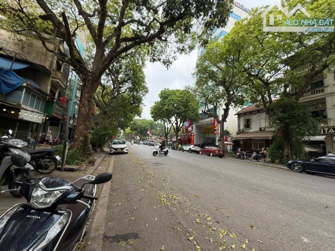 💥 BÁN LÔ ĐẤT VIP MẶT PHỐ TRẦN HƯNG ĐẠO – DT 381m² | MT 9.1m | GIÁ 379 TỶ 💥 - 1