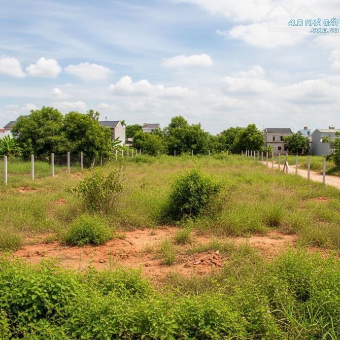 Cơ hội vàng: cho thuê đất 1.100m² tại Thạnh Lộc, Q.12 – chỉ 27tr/tháng - 1