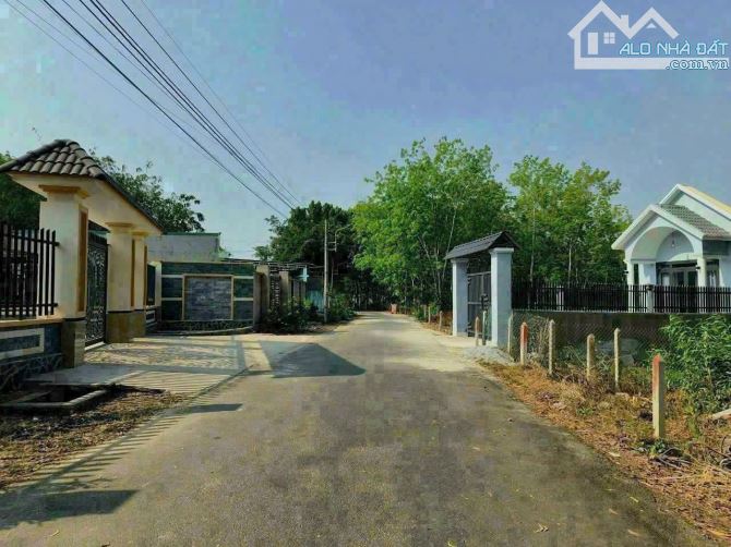 🌟 Bán gấp lô đất ĐX609 Phú An – Giá chỉ 1,34 tỷ! - 1