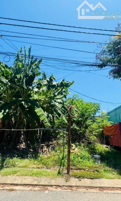 Bán lô sát Phạm Hùng 4.2 tỷ đường 5.5m Đoàn Nguyễn Tuấn - Hoà Xuân - 1