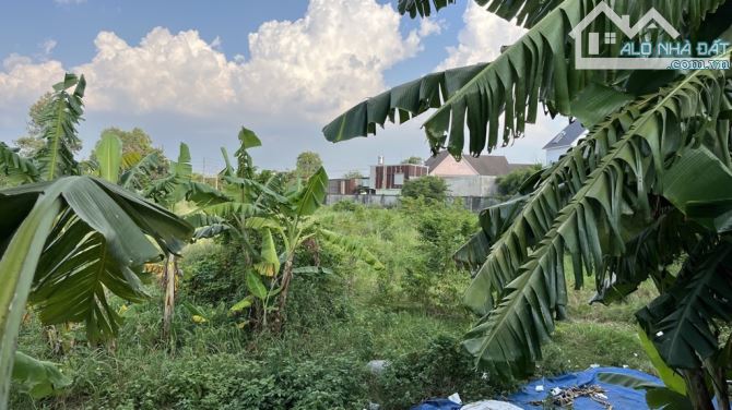 Bán Gấp 5000m² Đất Thổ Cư -2 Mặt Tiền Bình Chuẩn 61, Thuận An - Bình Dương Chỉ 110 Tỷ - 1