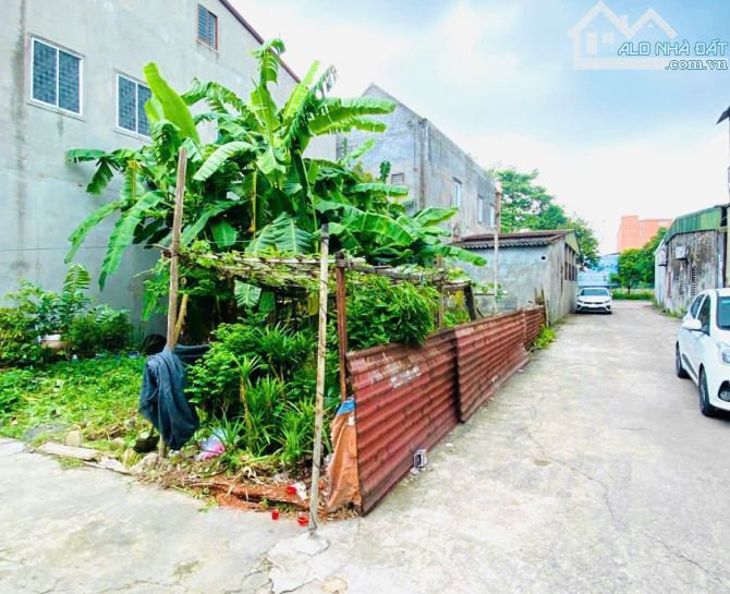 LÔ GÓC SIÊU ĐẸP P THÀNH VINH  / KHỐI 10 - P CỬA NAM ( cũ ) - 2