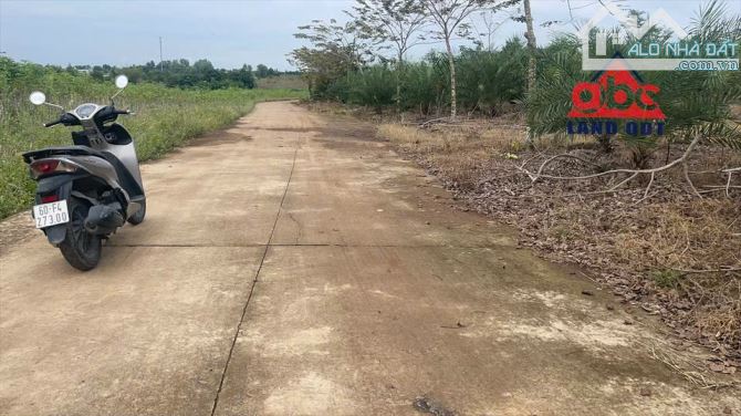 D048 Cần bán 4.7 sào đất Hưng Thịnh- Trảng Bom giá 6ty Tl Diện tích tổng 4.769m2 - 2