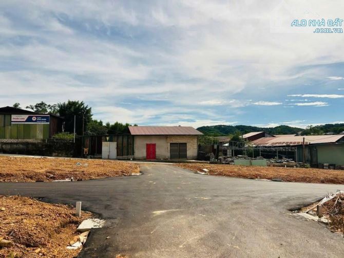 Dãy phân lô kiệt 301 Trưng Nữ Vương - Thuỷ Dương- Giá chỉ từ 1 tỷ1 - 2
