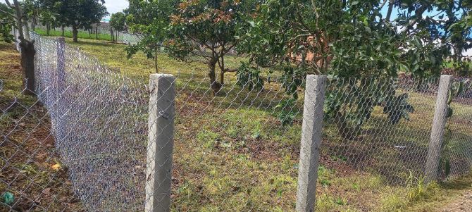 bán 394m2 đất xã tân hội đức trọng lâm đồng 1 tỷ 250 truệu có 100m2 đất thổ cư - 2