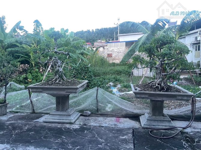 🌟 Bán đất chính chủ tại Lại Xuân – Lô đất rộng 116m², mặt tiền 5m cực thoáng. 🏡 Khu dân - 1