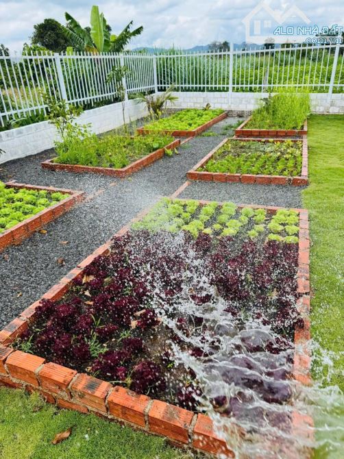 Nhà vườn nghỉ dưỡng nằm gần khu du lịch của Bảo Lộc - 2
