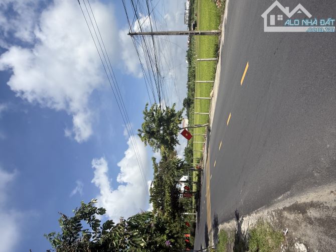 View Lúa Mặt Tiền đường Trần Nhân Tông.  Vị Trí Đắc Địa để xây Villa Kinh doanh - 2