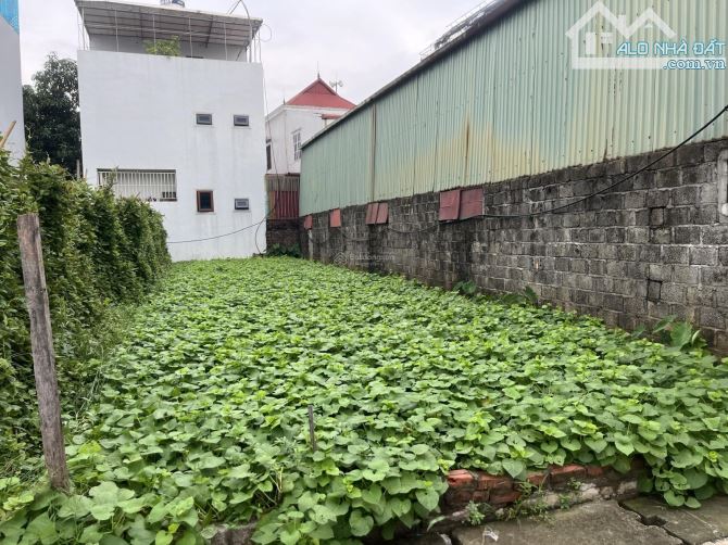 Bán đất sổ đỏ chính chủ, 106 m2, thôn Phú Trạch xã Mễ Sở, Văn Giang, Hưng Yên - 2