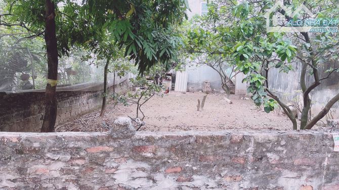 💥🔥 SIÊU PHẨM ĐẤT VUÔNG VẮN – VỊ TRÍ KIM CƯƠNG HIẾM CÓ 🔥💥  📌 Thông số chuẩn đẹp: 	•	Di - 2
