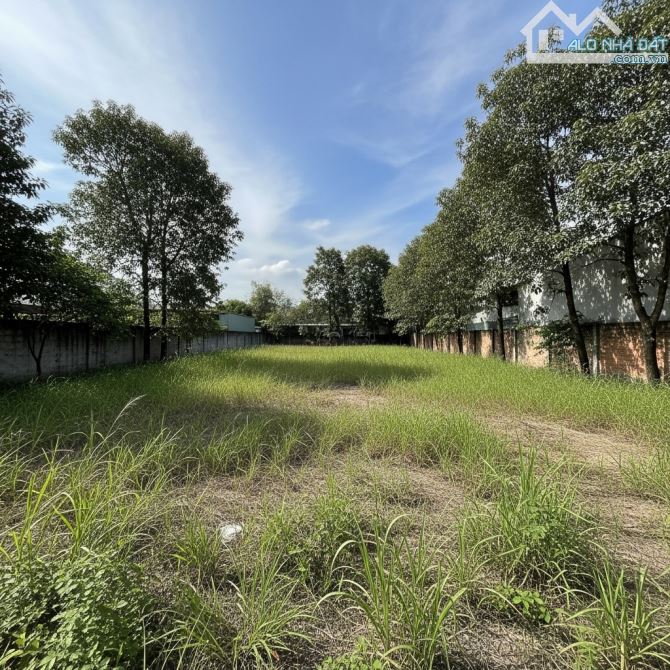 Cơ hội vàng: cho thuê đất 1.100m² tại Thạnh Lộc, Q.12 – chỉ 27tr/tháng - 2