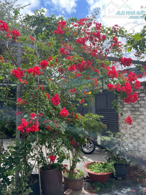 Cần bán gấp căn biệt thự xinh đẹp 647m2 tại Vĩnh Hiệp, Nha Trang, Khánh Hòa - 2