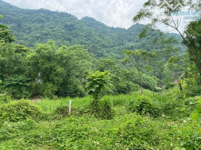 BÁN LÔ ĐẤT CỰC ĐẸP – BÁM SUỐI – GẦN QL 12B – KIM BÔI, HÒA BÌNH - 2