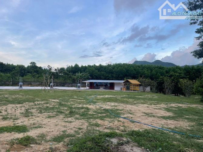 📌📌📌LÀM VIỆC TRỰC TIẾP GIÁ TỐT !!! Bán lô đất trồng cây thôn an sơn hòa ninh - 2