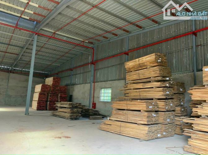 Bán nhà xưởng đất SKC gần KCN Sông Mây, Tân An, Vĩnh Cửu, 32000m2, giá 6tr/m2. - 3