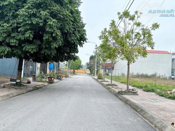CC cần bán đất đấu giá khu 304 Ngoại Trạch - 3
