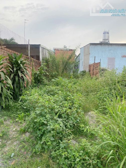D284 💥 Cần bán lô Đất 2 mặt đường gần 200m2 phường Tân Biên - 3