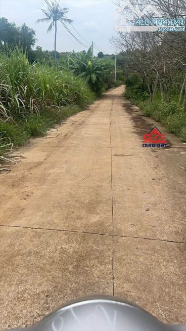 D048 Cần bán 4.7 sào đất Hưng Thịnh- Trảng Bom giá 6ty Tl Diện tích tổng 4.769m2 - 3