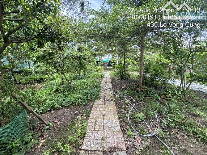 BÁN 2.466 m2 ĐẤT MT TL923 TẶNG BIỆT TỰ SÂN VƯỜN - 3