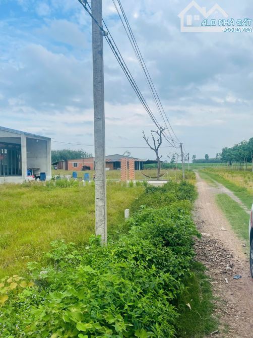 1000m2 có Thổ cư Nguyễn Thị Lan - Hòa Đông Tân Biên - chỉ 320tr - 3