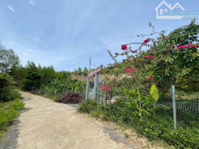 Nhà Vườn Diện tích lớn  4700m thôn Nước Nhĩ, Khánh phú,cách biển 30km - 3