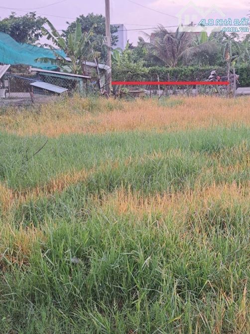 ✅ Bán đất thổ đường số 6 KDC Bình Tâm , TP Tân An , Long An _ DT : 5.2 x 30 (103.3m2) - 3