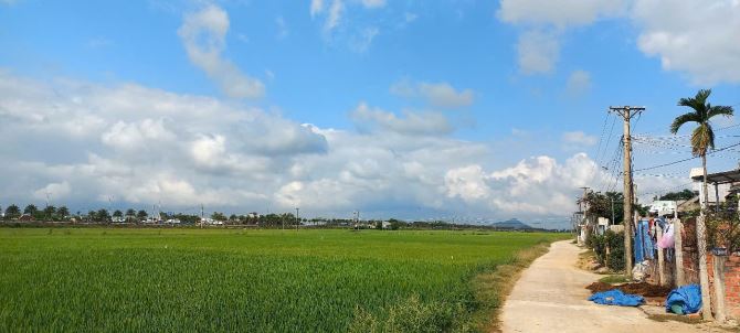 💯Cần bán lô đất dt 86m2 thôn chánh định,cát chánh,phù cát,Bình Định - 3