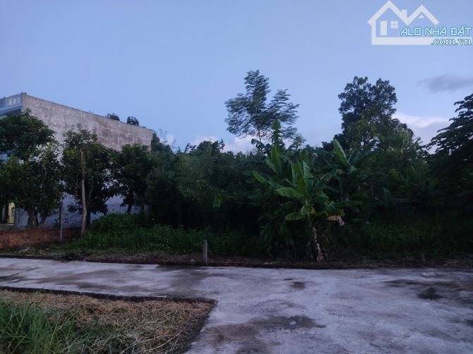 Bán lô đất 207m2 đất ở Thôn Bồ Bản, xã Hoà Phong Hoà Vang - Gần Uỷ Ban, Trường học và Chợ - 3
