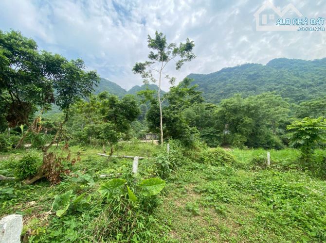 BÁN LÔ ĐẤT CỰC ĐẸP – BÁM SUỐI – GẦN QL 12B – KIM BÔI, HÒA BÌNH - 3