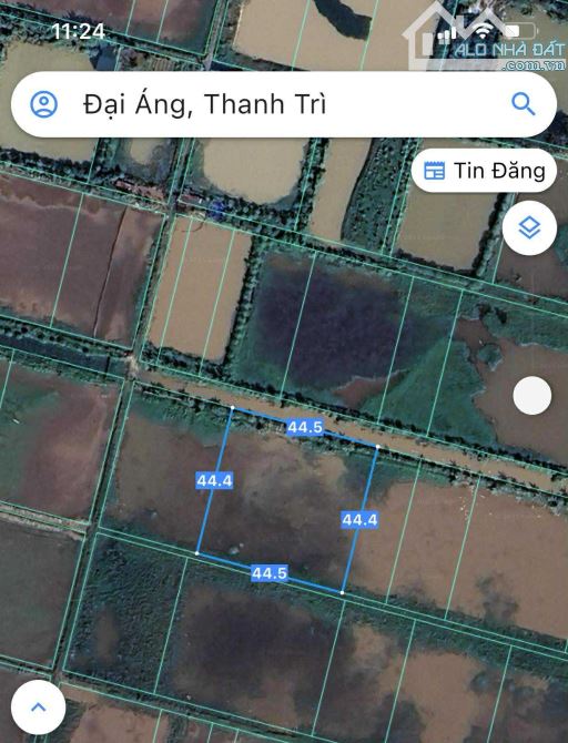 bán đất nông nghiệp tại đại áng, thanh trì (xã ngọc hồi mới), Hà Nội - 3