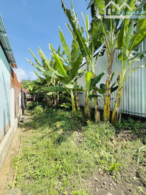 BÁN ĐẤT  - DT: 118m² (5 x 24m) – ĐƯỜNG NHỰA 6M - 4