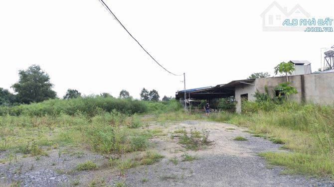 Cho thuê nhà xưởng khuân viên rộng 9000m2 thuộc Quảng Tiến Trảng Bom giá rẻ - 4