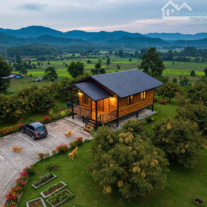 1000m2 có Thổ cư Nguyễn Thị Lan - Hòa Đông Tân Biên - chỉ 320tr - 4