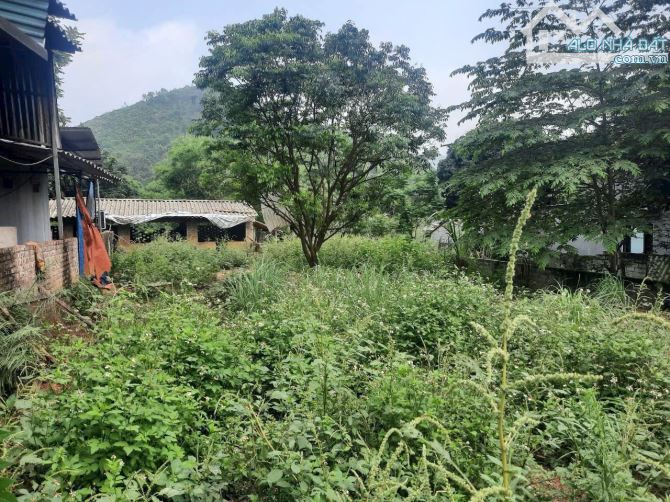 🔥 BÁN LÔ ĐẤT 515m² (100m² THỔ CƯ) – VIEW SUỐI 🔥 - 4