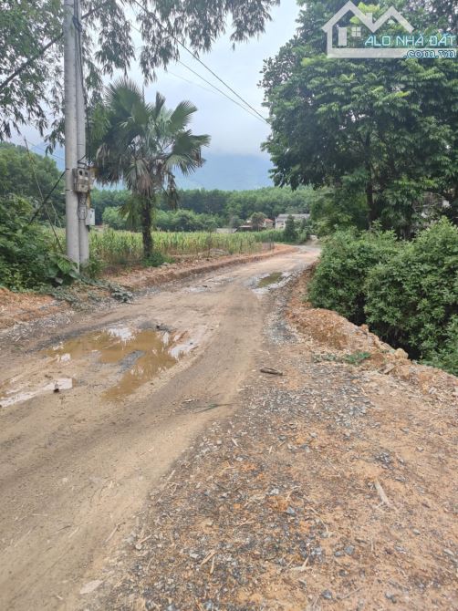 cần bán gấp 325m2 đất có 100 đất ont, sẵn nhà cấp 4, tại Minh Tiến, Minh Hoà, Yên Lập - 4
