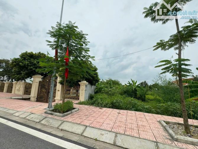 Bán lô đất mặt đường Thượng Đức Minh Đức Đồ Sơn - 4