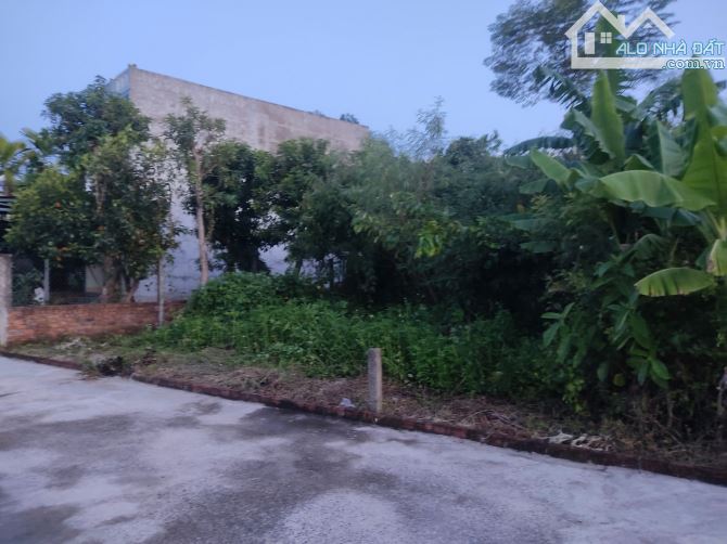 Bán lô đất 207m2 đất ở Thôn Bồ Bản, xã Hoà Phong Hoà Vang - Gần Uỷ Ban, Trường học và Chợ - 4