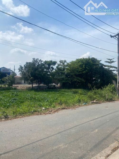 Chính chủ bán gấp chính chủ bán gấp lô đất 146.8m2 - MT Trần Hải Phụng, Bình Tân - Kẹt - 4
