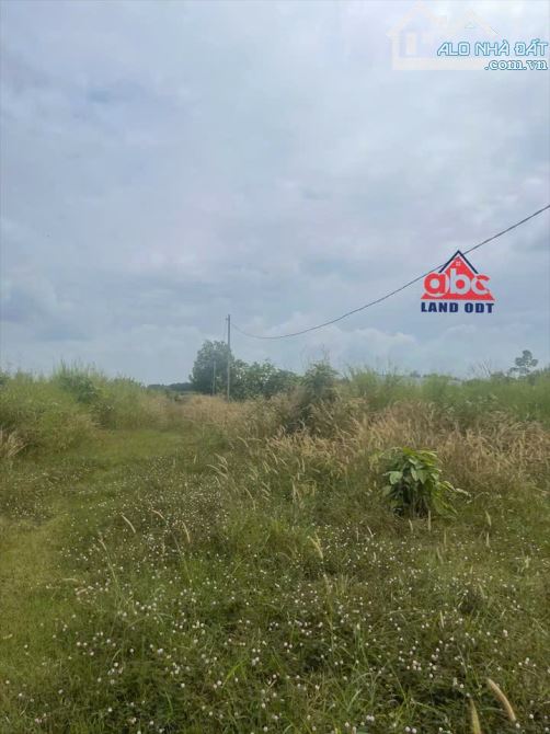 D048 Cần bán 4.7 sào đất Hưng Thịnh- Trảng Bom giá 6ty Tl Diện tích tổng 4.769m2 - 5