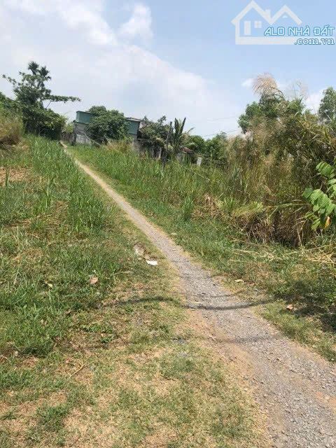 Bán lô đất đường Rừng Sác, xã Bình Khánh, Cần Giờ 4,99tỷ - 5