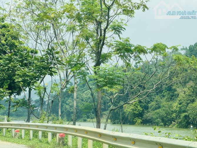 LÔ GÓC 8 TRIÊU/M2 400 THỔ CƯ ( 2300M2 ) ĐẸP GIÁ TỐT GẦN HỒ - 5